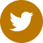 icone-twitter