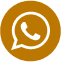 icone-whatsapp